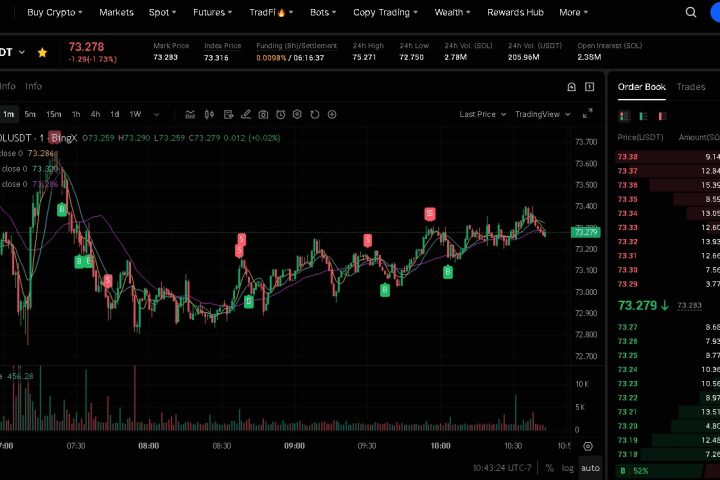 SOLUSDT BingX trading chart showing real-time scalping signals and liquidity zones
